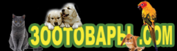 Зоотовары.com