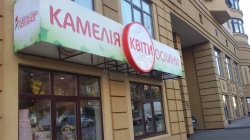 Магазин цветов Камелия на улице Дмитриевской