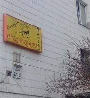 Студия красоты Танира