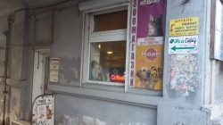 Зоомагазин Кудлатий пес