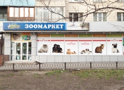 Зоомаркет Какаду на Чоколовском бульваре