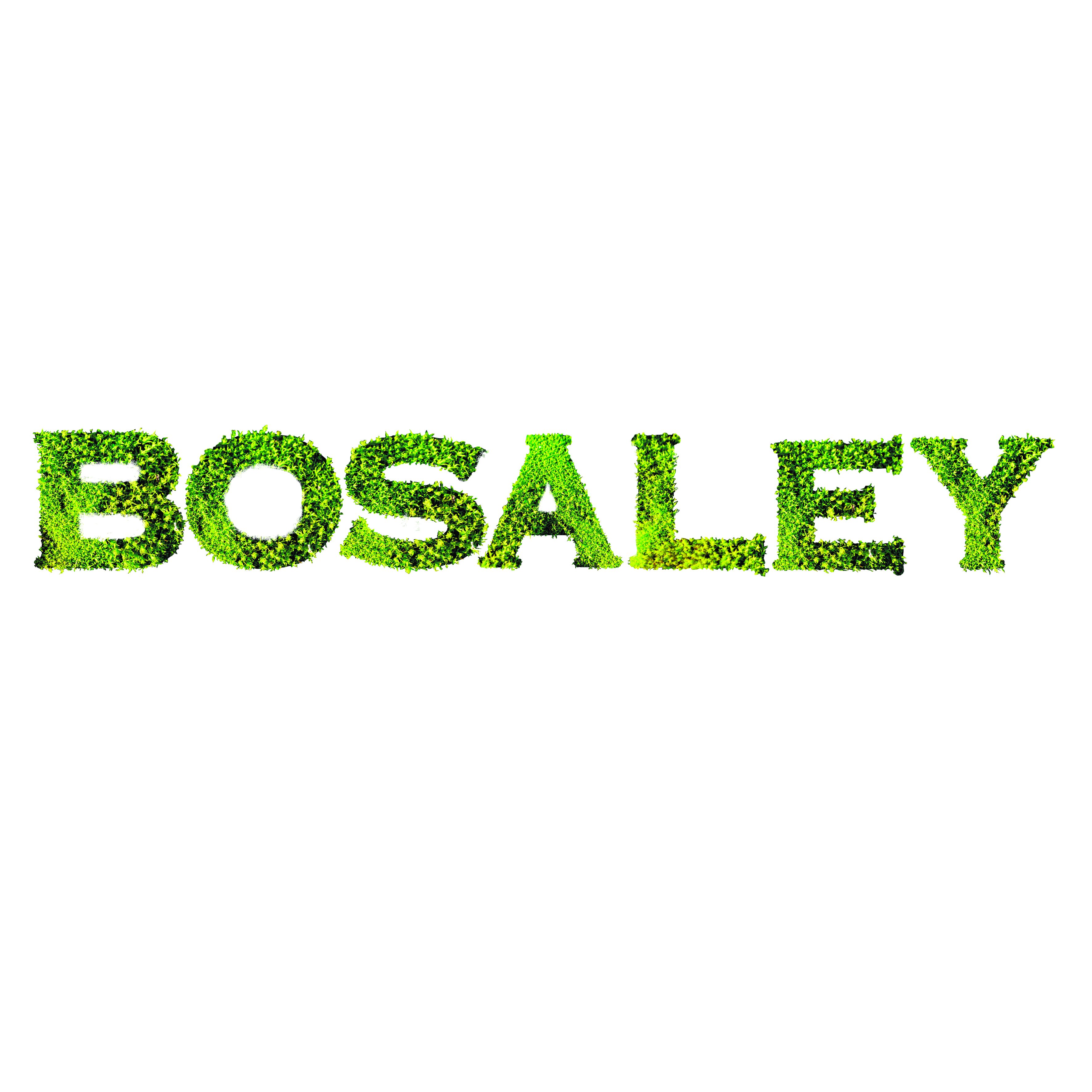 (Закрыт) Ресторан Босалей / BOSALEY Lounge Cafe