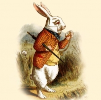 Крафтовая пиповарня White Rabbit / Вайт реббит